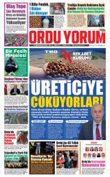 ORDU YORUM