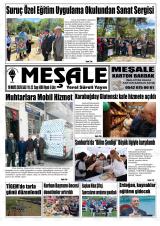 MEŞALE