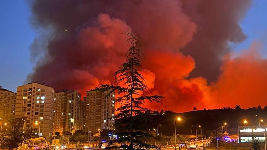 Bursa’daki orman yangınlarının sebebi belli oldu