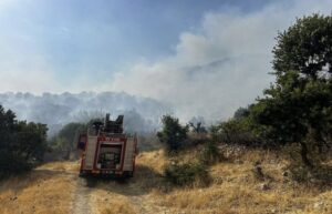 Diyarbakır’daki orman yangınının bilançosu ortaya çıktı