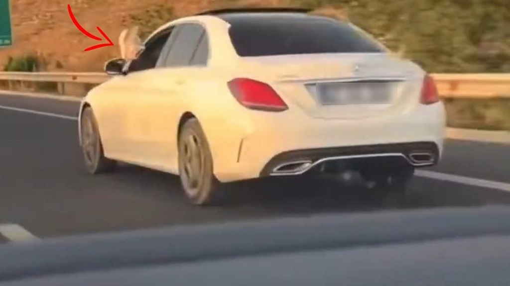 Başsavcının oğlundan direksiyon başında skandal